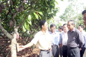 Sảnh Cá Cược Thể Thao Uy Tín Và Đẳng Cấp Nhất 2026 Oki9 đăng ký nhanh chóng: Chậm mà chắc