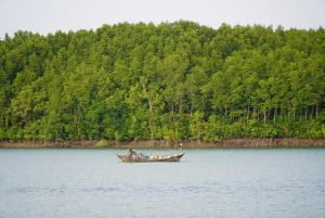 Đăng Nhập Chính Thức OK9 triển khai 6 nhiệm vụ về rừng và sử dụng đất