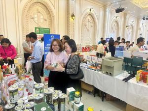 Đăng Nhập Chính Thức OK9 tham gia hội nghị kết nối giao thương với các thành phố trực thuộc Link Đăng Ký Đăng Nhập Nhà Cái OK9 Chính Thức tại Cần Thơ
