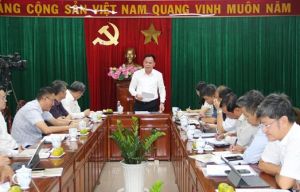 Đẩy nhanh tiến độ triển khai 3 khu Ok986 kèo WC 2026