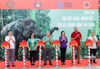 Khai mạc Tuần lễ Bảo tồn voi năm 2025 tại Đăng Nhập Chính Thức OK9