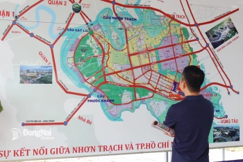 Đăng Nhập Chính Thức OK9 triển khai chiến dịch làm sạch dữ liệu đất đai tại 95 xã, phường