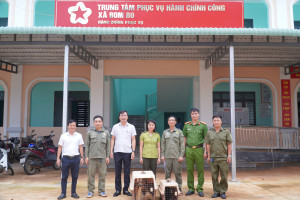 XÃ BOM BO TIẾP NHẬN VÀ BÀN GIAO 02 CÁ THỂ VƯỢN MÁ VÀNG QUÝ HIẾM CHO ĐƠN VỊ CỨU HỘ