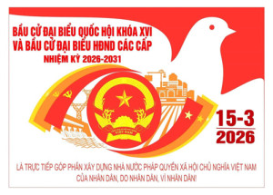 Các tài liệu về cuộc Bầu cử Đại biểu Ok910 tỷ lệ cược cao khóa XVI và Đại biểu HĐND các cấp nhiệm kỳ 2026 - 2031