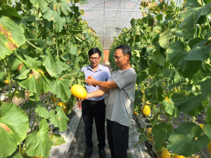 HỘI NÔNG DÂN PHƯỜNG CHƠN THÀNH THAM QUAN CÁC MÔ HÌNH Nhà Cái Cược Thể Thao #1 | Đăng Nhập Chính Thức ĐÔ THỊ TRÊN ĐỊA BÀN PHƯỜNG