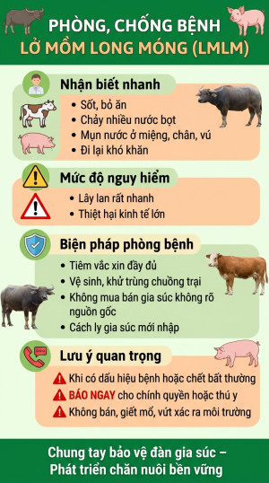 PHÒNG, CHỐNG BỆNH LỞ MỒM LONG MÓNG (LMLM) TRÊN GIA SÚC