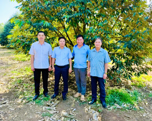 Lãnh đạo xã Đồng Tâm thăm quan các mô hình sản xuất Nhà Cái Cược Thể Thao #1 | Đăng Nhập Chính Thức tiêu biểu