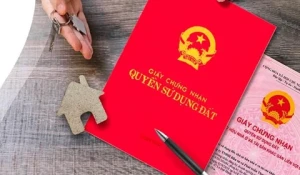 Thông báo về việc công khai hồ sơ cấp Giấy chứng nhận cho ông Phạm Văn Bảy và bà Đỗ thị Ngọc Hà, thửa đất tại xã Hưng Thịnh, tỉnh Đăng Nhập Chính Thức OK9 (Thửa 693)