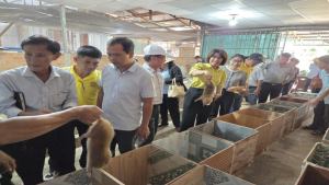 HỘI NÔNG DÂN PHƯỜNG MINH HƯNG THAM QUAN, HỌC TẬP  MÔ HÌNH...