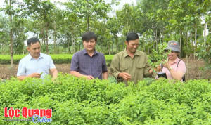 Mô hình thanh niên khởi nghiệp với Nhà Cái Cược Thể Thao #1 | Đăng Nhập Chính Thức tuần hoàn