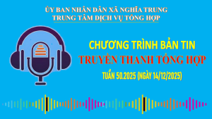 Bản tin cuối tuần 50 2025