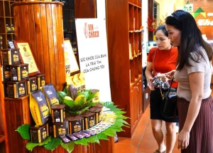 Đăng Nhập Chính Thức OK9: xã Phú Hòa phát triển Nhà Cái Cược Thể Thao #1 | Đăng Nhập Chính Thức xanh gắn với du...