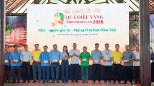 Phường Phước Long đạt 2 giải tại Lễ hội Quả Điều Vàng Sảnh Cá Cược Thể Thao Uy Tín OK9 năm 2026