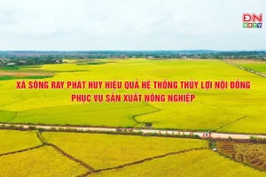 SÔNG RAY PHÁT HUY HIỆU QUẢ HỆ THỐNG THỦY LỢI NỘI ĐỒNG PHỤC VỤ SẢN XUẤT Nhà Cái Cược Thể Thao #1 | Đăng Nhập Chính Thức