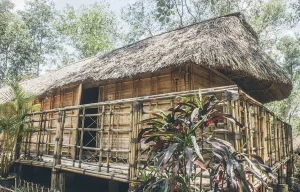 Nhà dài (Longhouse) Tà Lài – Không gian Nhà Cái Cược Thể Thao #1 | Đăng Nhập Chính Thức truyền thống gắn với phát triển du lịch cộng đồng bền vững
