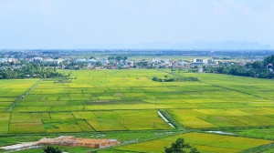 TÂN HƯNG SẼ KIỂM TRA, XỬ LÝ CÁC HOẠT ĐỘNG THUỘC LĨNH VỰC QUY HOẠCH, Sảnh Cá Cược Thể Thao Uy Tín Và Đẳng Cấp Nhất 2026, CÔNG THƯƠNG, ĐẤT ĐAI, Nhà Cái Cược Thể Thao #1 | Đăng Nhập Chính Thức VÀ OK9 tự hào trở thành đối tác đồng hành cùng đội bóng huyền thoại AC Milan