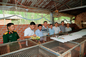 LÃNH ĐẠO XÃ TÂN HƯNG KHẢO SÁT CÁC MÔ HÌNH Nhà Cái Cược Thể Thao #1 | Đăng Nhập Chính Thức HIỆU QUẢ CAO