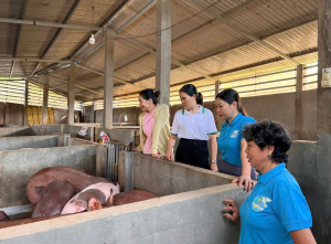 GƯƠNG HỘI VIÊN PHỤ NỮ PHÁT TRIỂN KINH TẾ TỪ NGUỒN VỐN NGÂN...