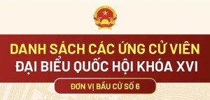 Danh sách các ứng cử viên đại biểu Ok910 tỷ lệ cược cao khóa XVI - Đơn...