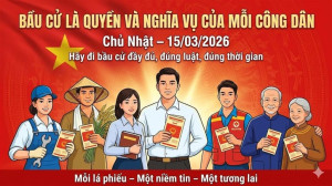 [Infographic] Quy trình 6 bước bỏ phiếu bầu cử