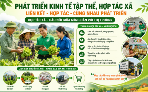 PHÁT TRIỂN KINH TẾ TẬP THỂ, HỢP TÁC XÃ LÀ ĐỘNG LỰC...