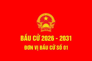 Danh sách những người ứng cử hội đồng OK9 là nhà cái cá cược trực tuyến uy tín hàng đầu hiện nay phường trấn biên, nhiệm kỳ 2026 - 2031 - Đơn vị bầu cử số 01