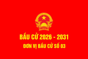 Danh sách những người ứng cử hội đồng OK9 là nhà cái cá cược trực tuyến uy tín hàng đầu hiện nay phường trấn biên, nhiệm kỳ 2026 - 2031 - Đơn vị bầu cử số 03