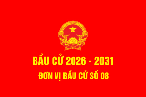 Bầu Cử 2026 08