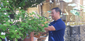 Nông dân sản xuất ôk9 truy cập ngay giỏi Đỗ Ngọc Tuyển và tình yêu Hoa nhài – thương mến người khó khăn
