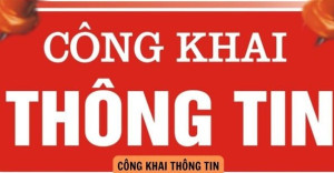 Đăng Ký, Đăng Nhập Trang Chủ OK9.COM 2026 về việc công khai số liệu bổ sung dự toán thu ngân sách OK99 cổng giải trí hàng đầu Việt Nam - chi ngân sách địa phương phường Trảng Dài năm 2025 (đợt 1)