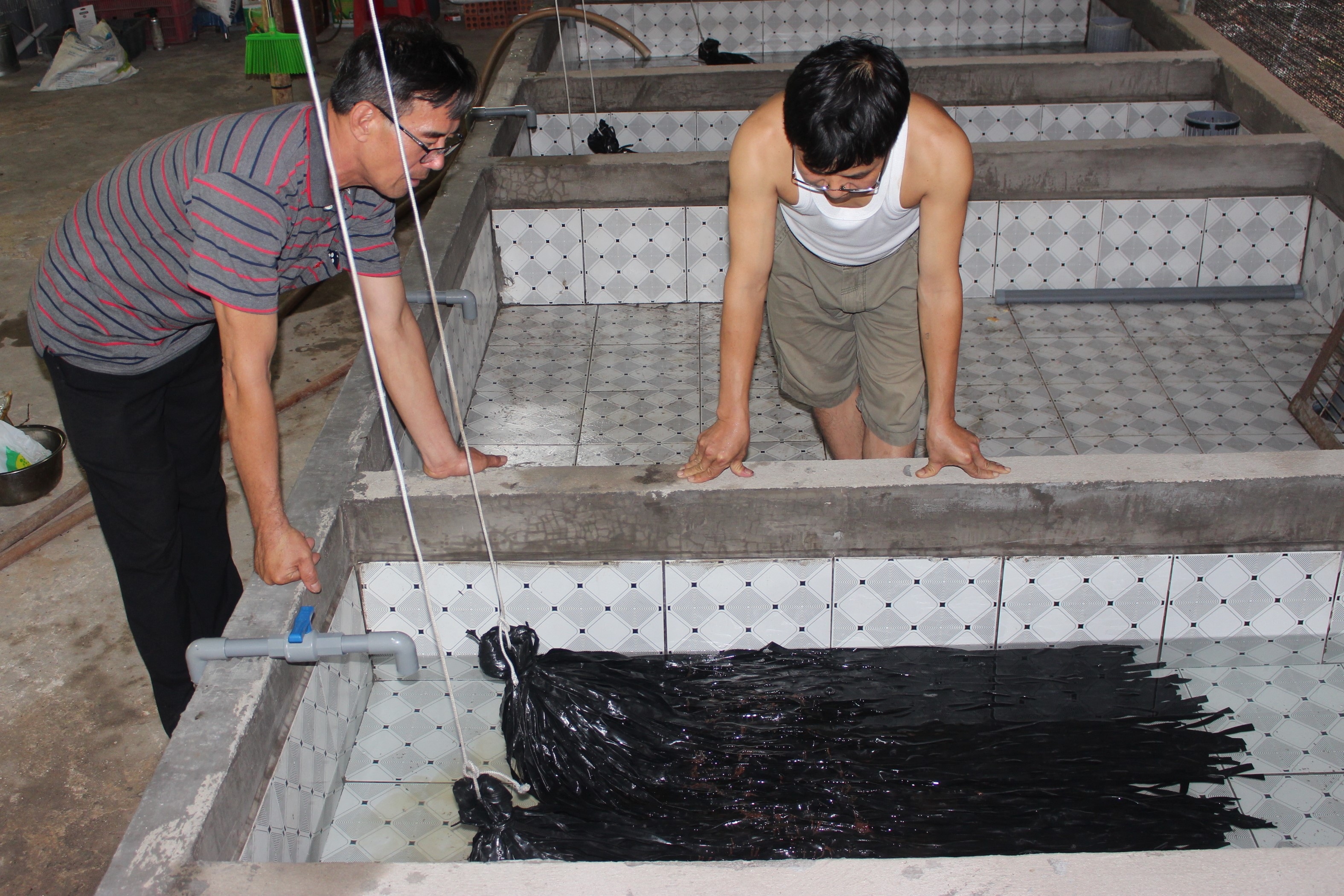 5. Sức bật nhờ kinh tế tập thể (H1).JPG?t=1779785404
