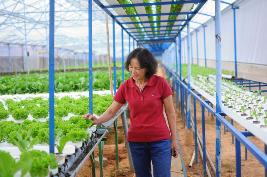 5. (H3) mô hình công nghệ cao do tập đoàn Vingroup đầu tư tại huyện Long Thành.JPG?t=1779785404