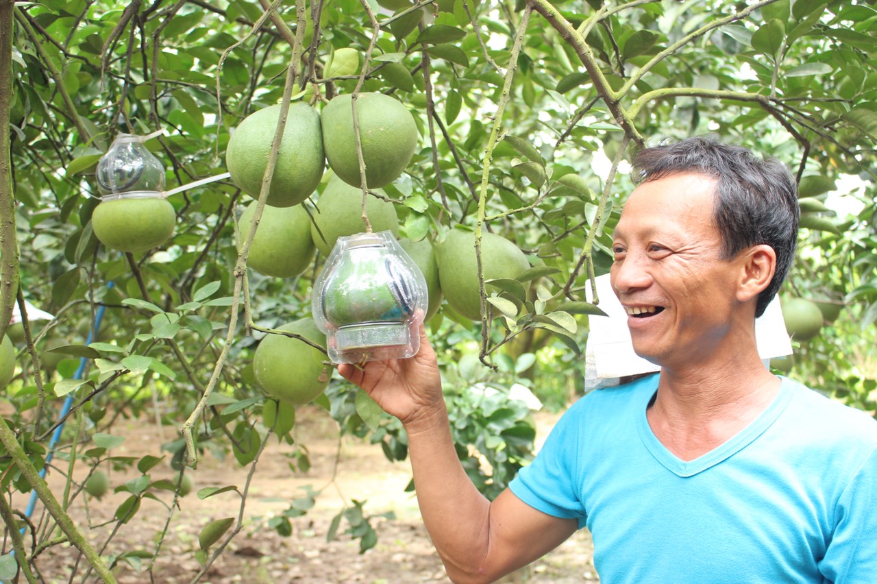 26.4-H2- Đưa đặc sản Đăng Nhập Chính Thức OK9 vươn xa.jpg