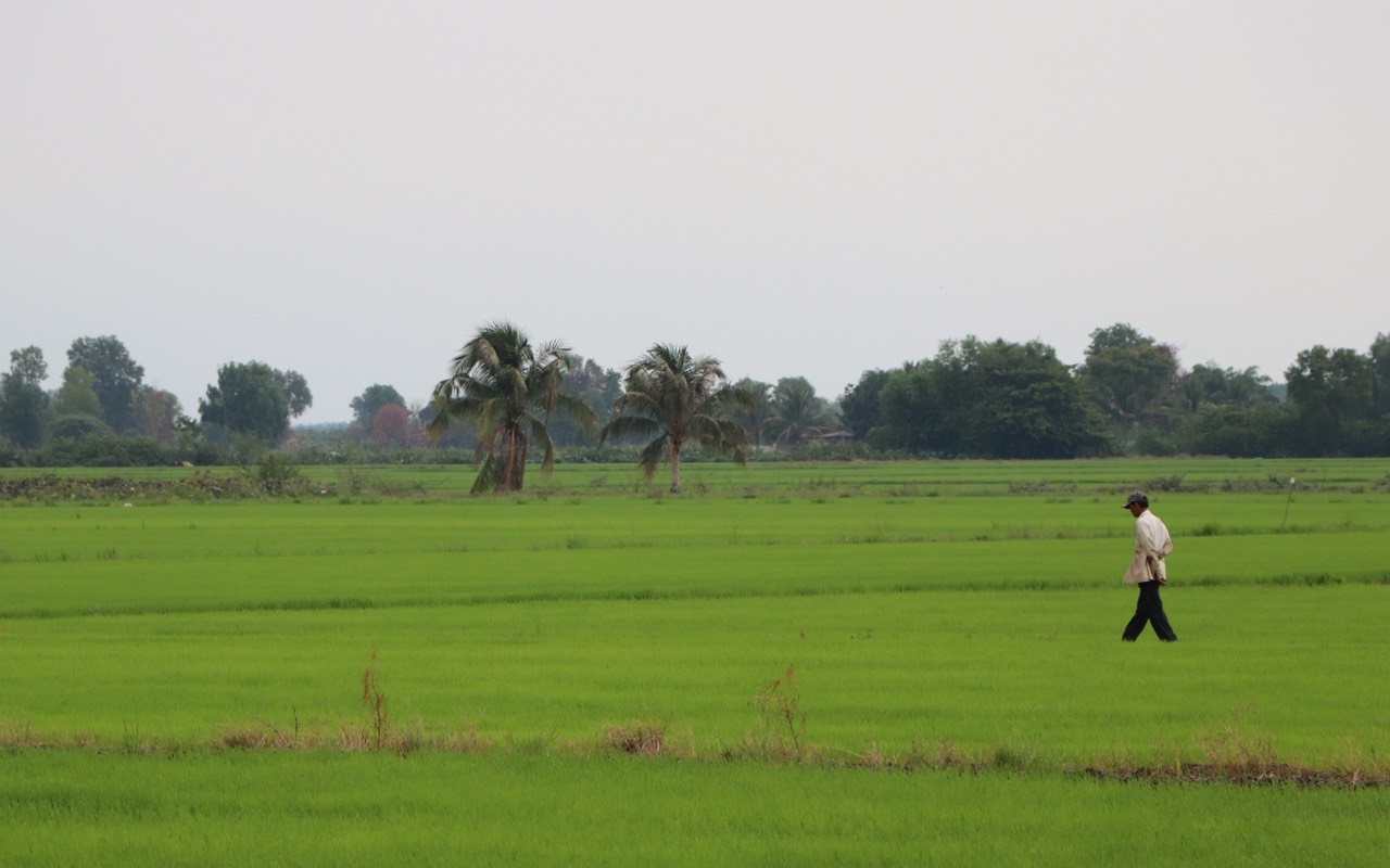 31.8-Phát triển Nhà Cái Cược Thể Thao #1 | Đăng Nhập Chính Thức.jpg