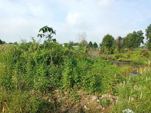 anh 1 -04092020.jpg?t=1779785404