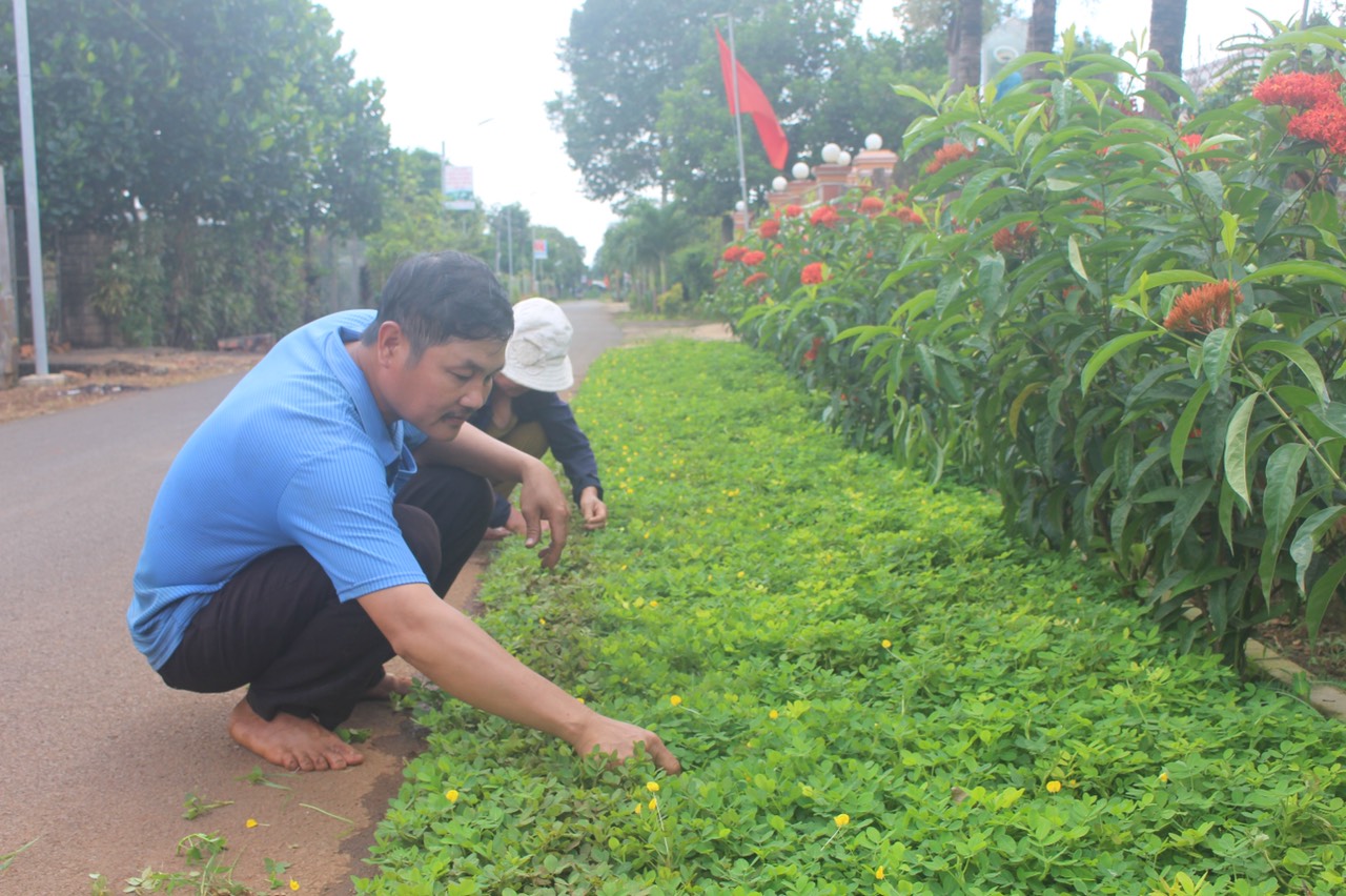 hinh anh 1 - 25-9-2020.jpg?t=1779785404