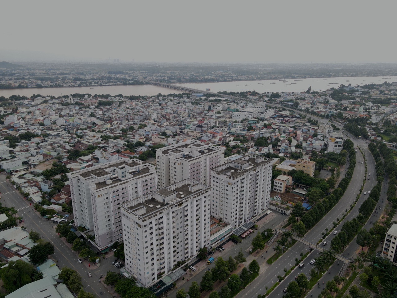 cd5-2.jpg?t=1779785404