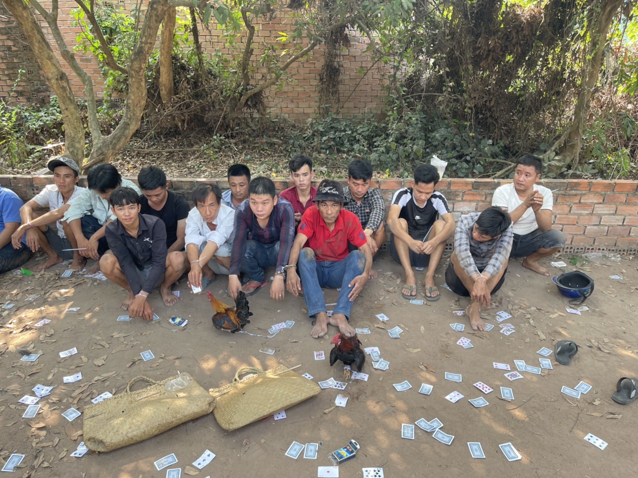 123.jpg?t=1779785404
