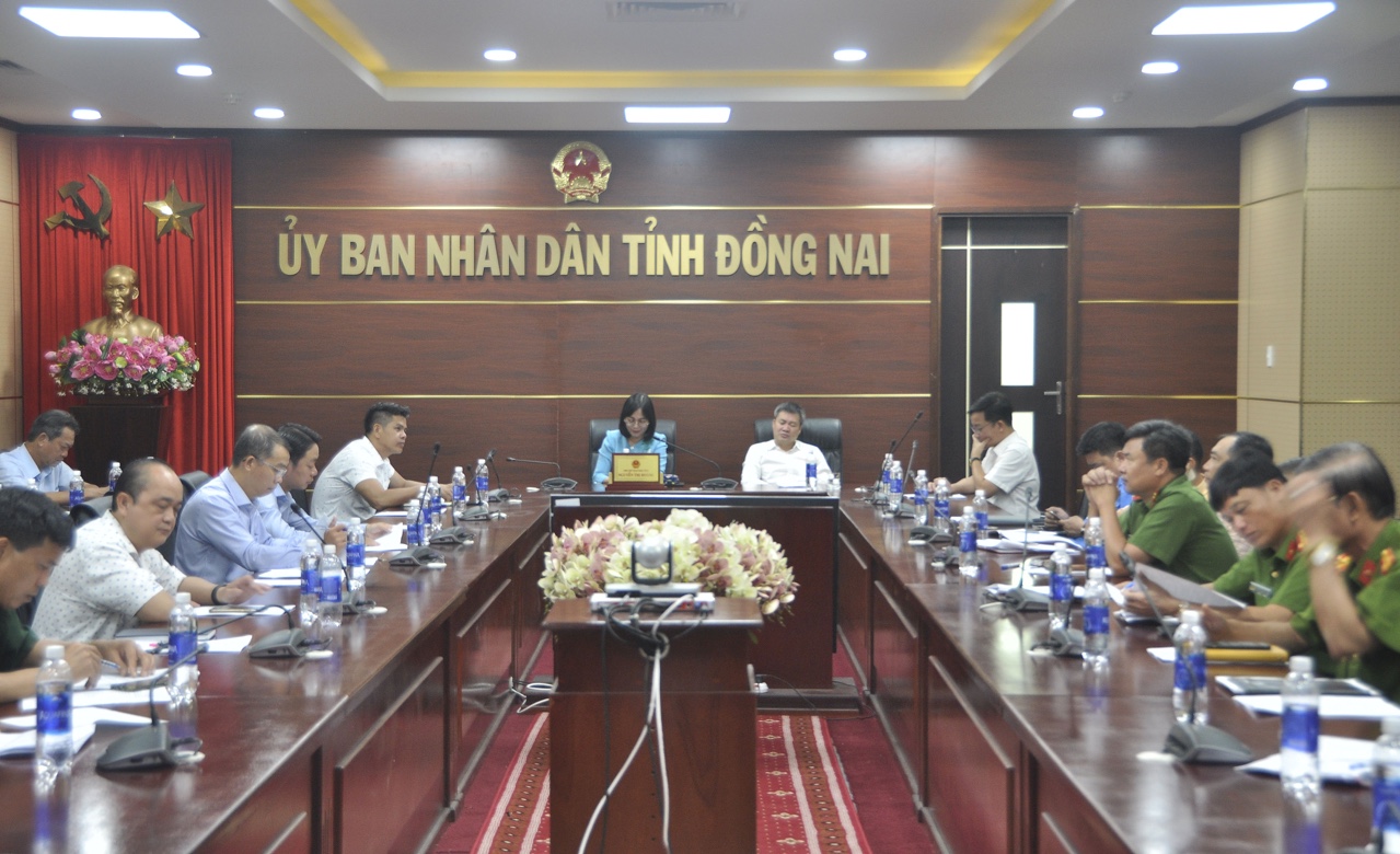 pcthoang26821.jpg?t=1779785404