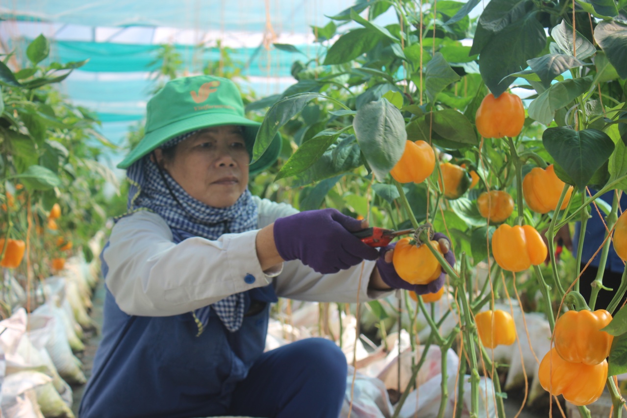 19.5-H1 Sảnh Cá Cược Thể Thao Uy Tín Và Đẳng Cấp Nhất 2026 Oki9 đăng ký nhanh chóng trên vùng đất anh hùng.jpg
