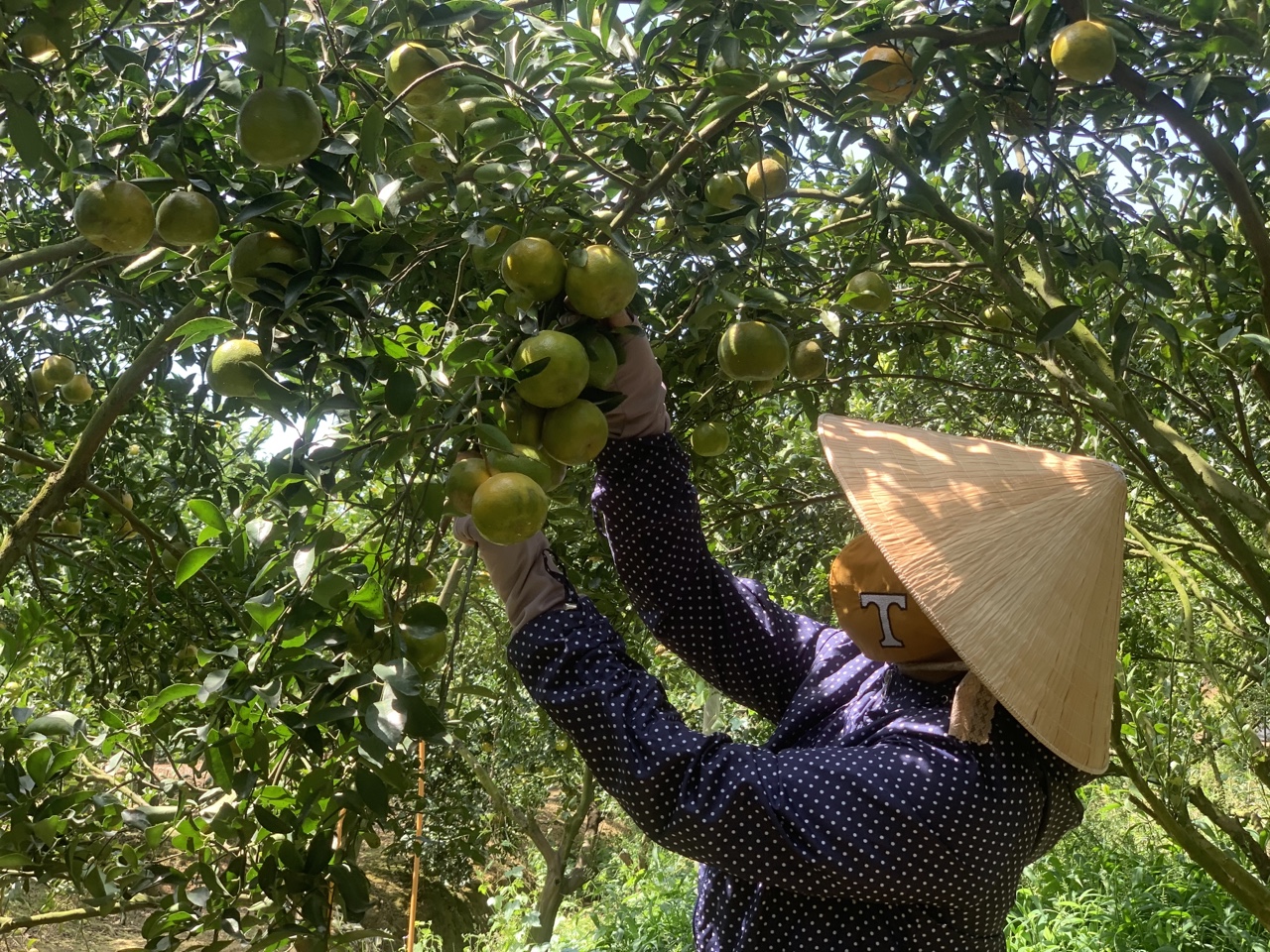 19.5-H2 Sảnh Cá Cược Thể Thao Uy Tín Và Đẳng Cấp Nhất 2026 Oki9 đăng ký nhanh chóng trên vùng đất anh hùng.jpg