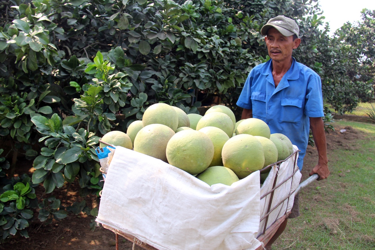 p.dieuchinh.jpg?t=1779785404