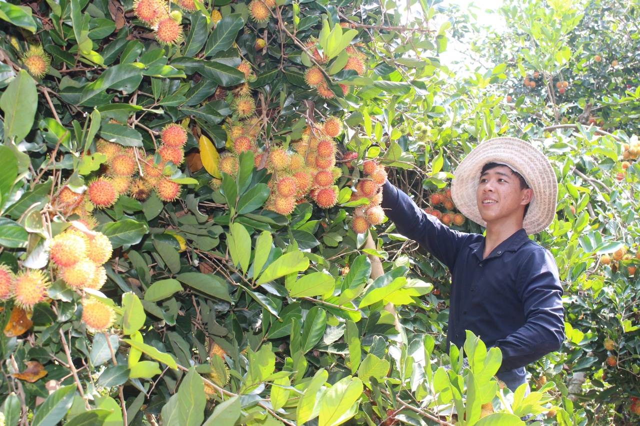 11.6-H1 .Xuân Lộc Sẵn sàng cho dự án Nhà Cái Cược Thể Thao #1 | Đăng Nhập Chính Thức công nghệ cao.jpg