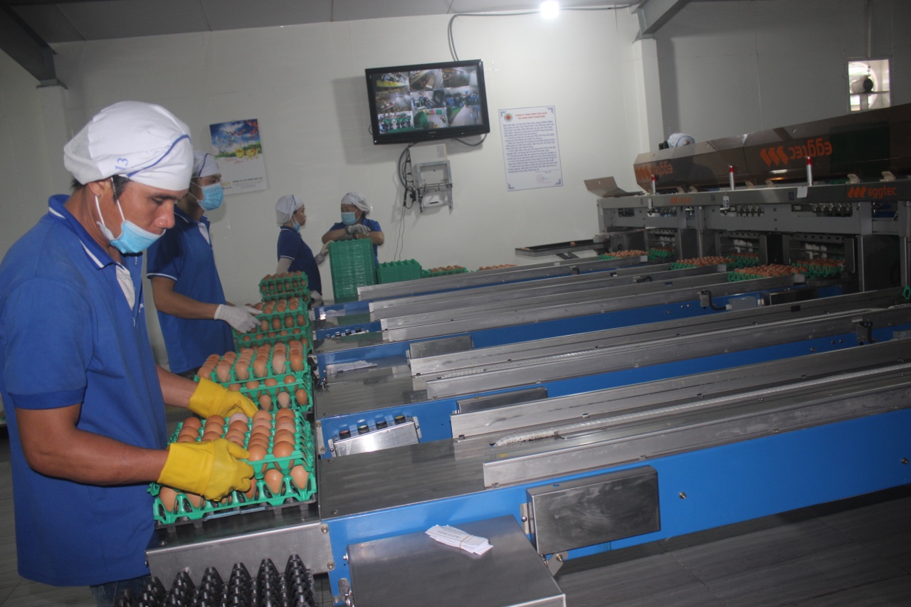 1.8-Đẩy mạnh chuyển đổi số trong Nhà Cái Cược Thể Thao #1 | Đăng Nhập Chính Thức 1.jpg