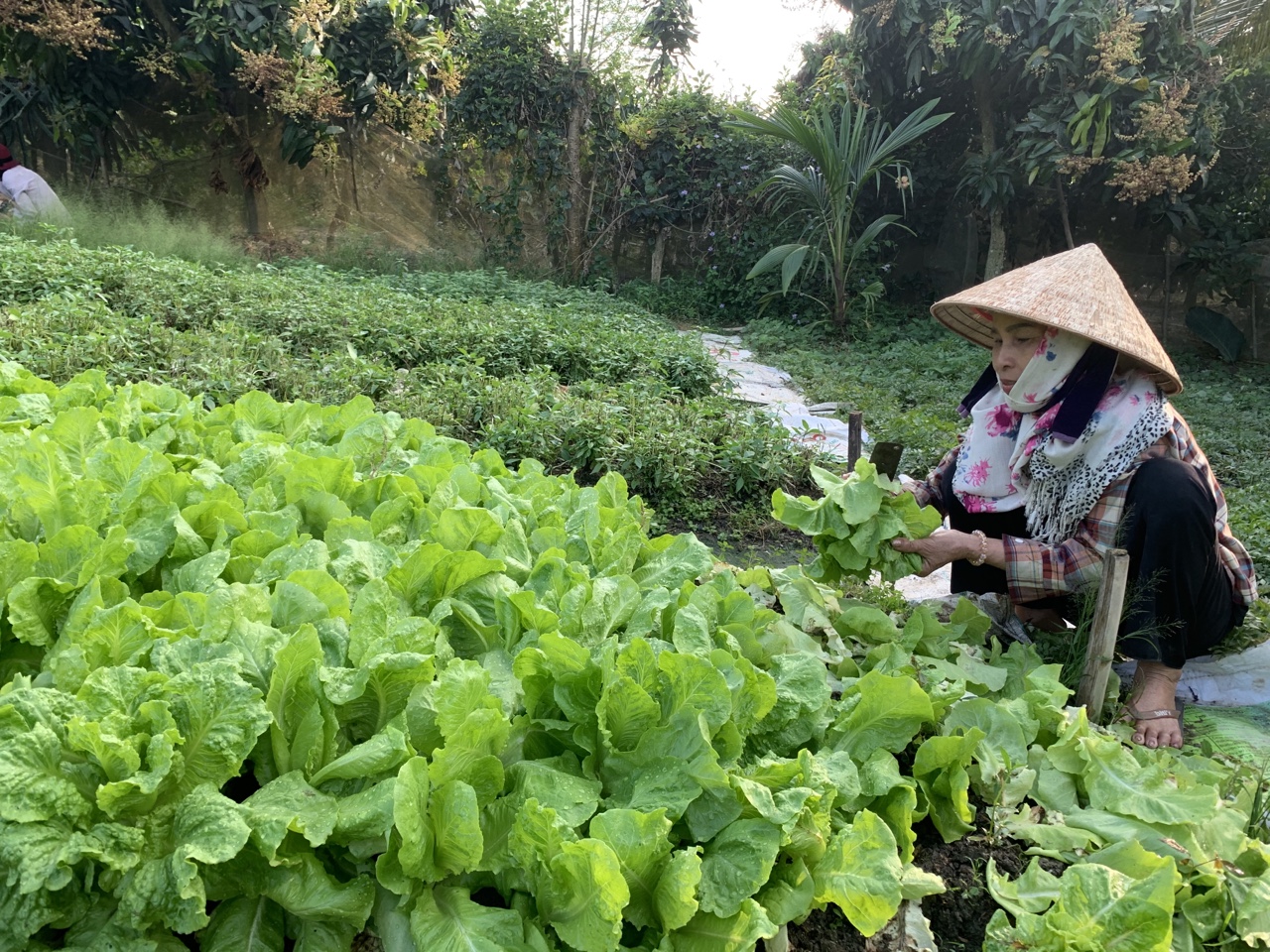 2.8-Sản xuất Nhà Cái Cược Thể Thao #1 | Đăng Nhập Chính Thức thích ứng với tình hình mới 2.jpg
