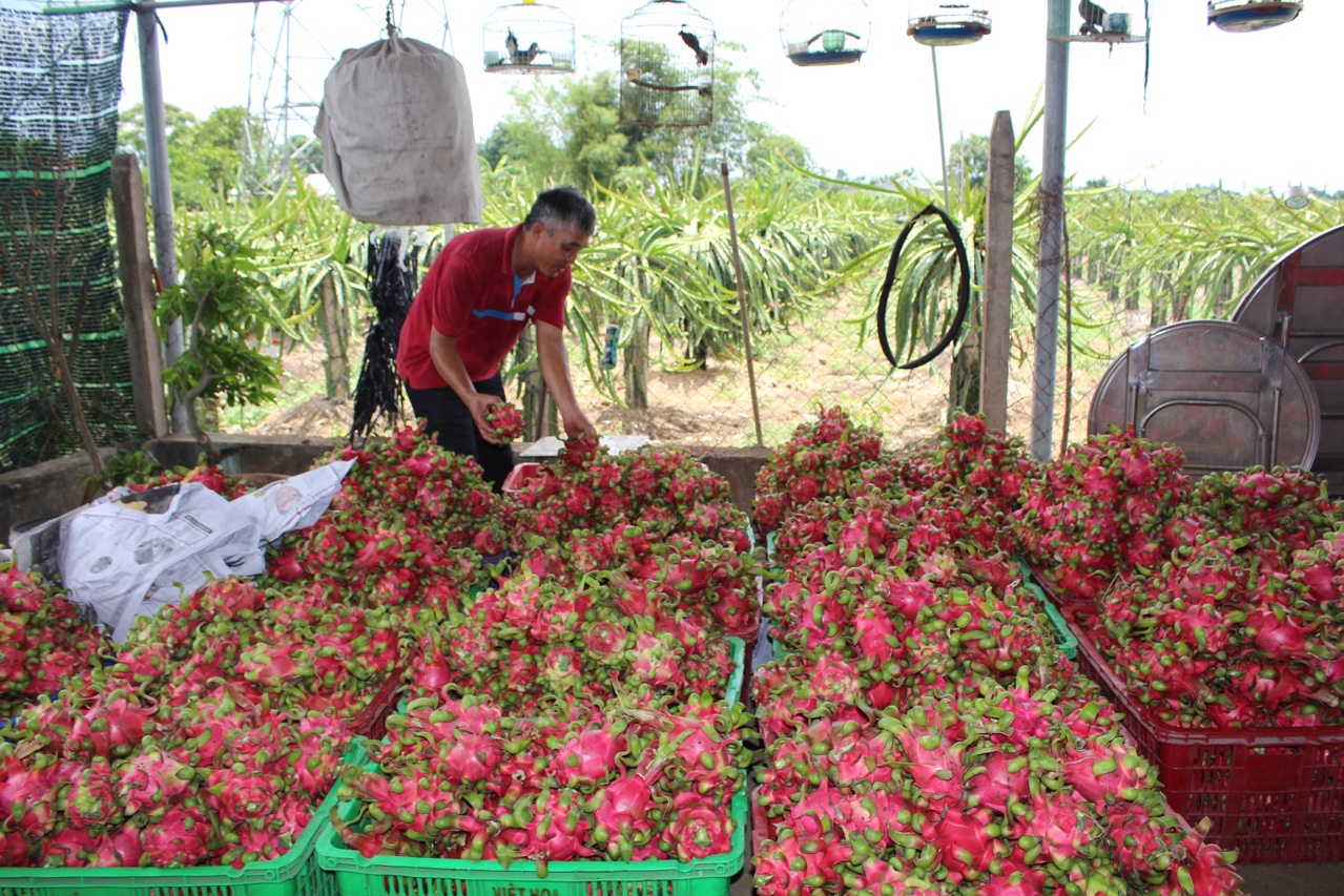 thanhlong22921d.jpg?t=1779785404