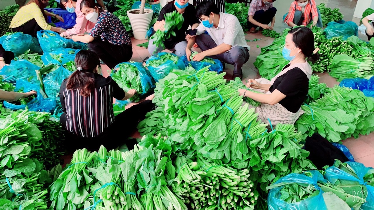 27.10-Nhiều giải pháp phục hồi sản xuất Nhà Cái Cược Thể Thao #1 | Đăng Nhập Chính Thức H1.jpg