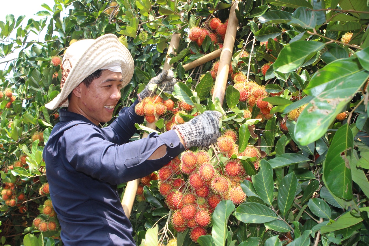 27.10-Hưởng lợi từ chương trình OCOP.jpg