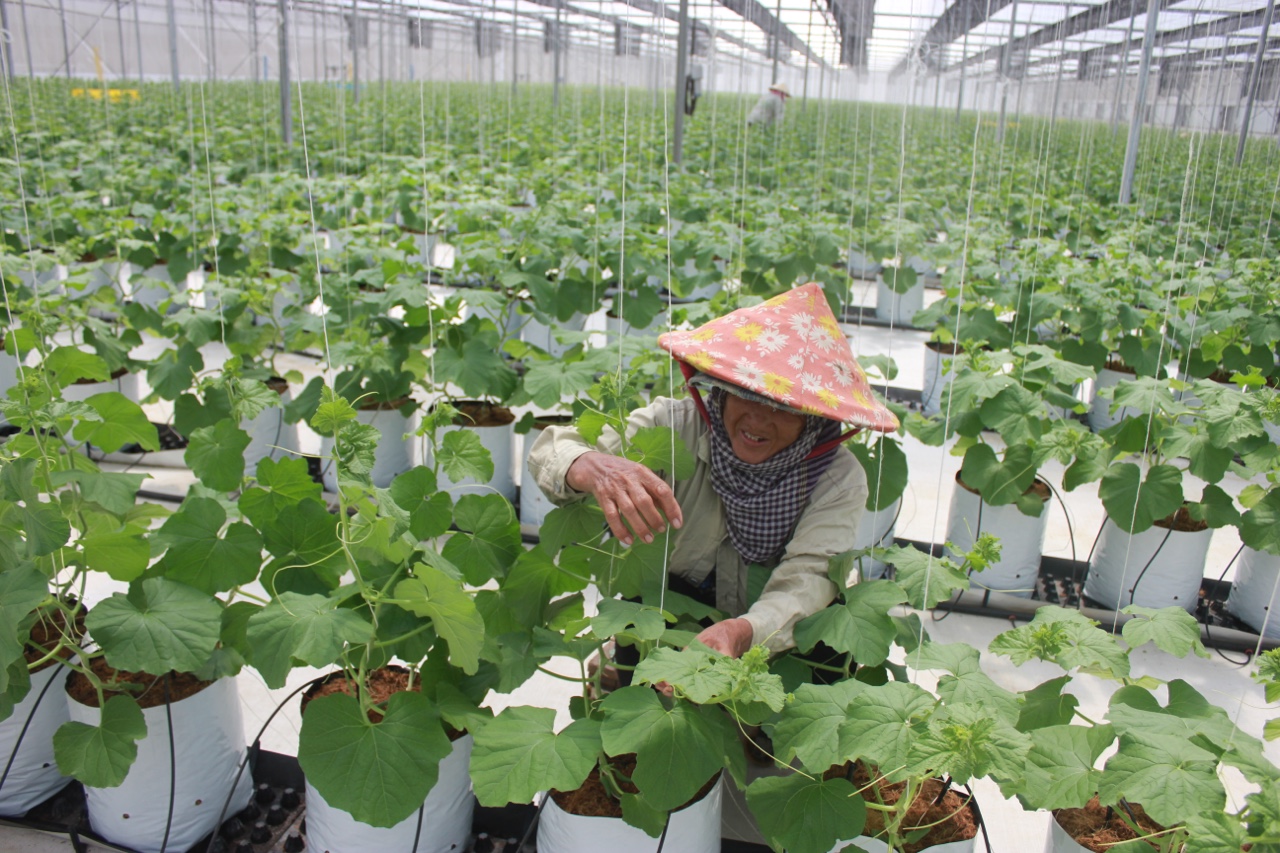 5.5-Sảnh Cá Cược Thể Thao Uy Tín Và Đẳng Cấp Nhất 2026 nông thôn hiện đại 2.jpg