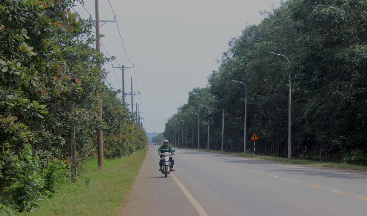 c2-18522d.jpg?t=1779785404